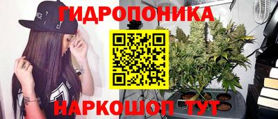 прущая мука Заволжье