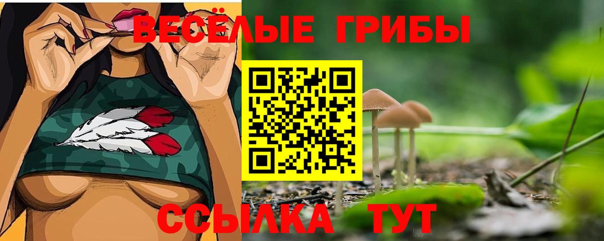 Галлюциногенные грибы Cubensis  Вход с VPN  Людиново 